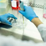 Cell-based assays