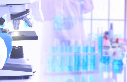 מעבדת פיתוח מזון2